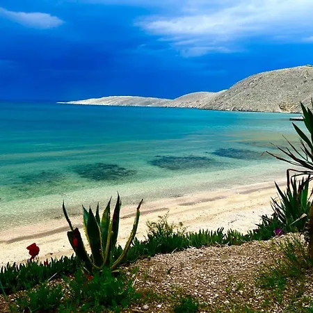 Penzion Apartman Morena